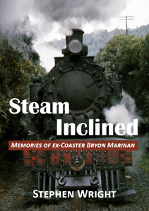 steam-icon